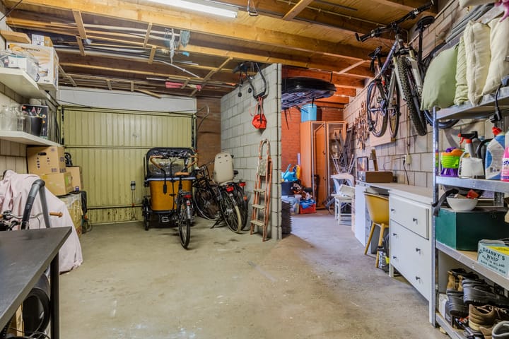 Foto 30 van Kruisdistel 3