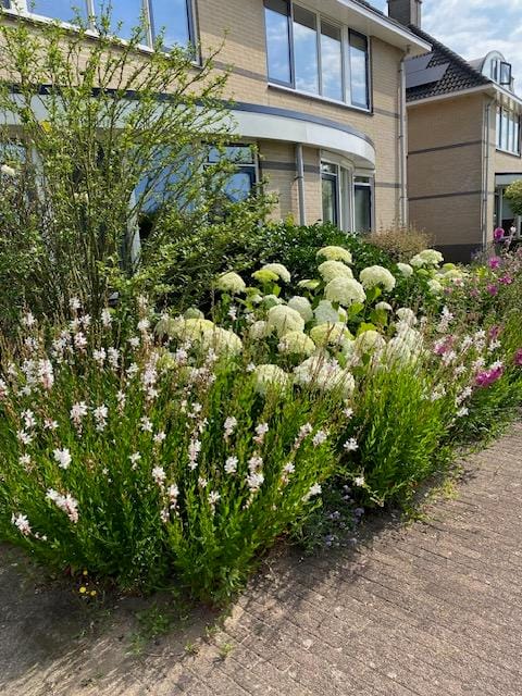 Foto 34 van Chopinstraat 3