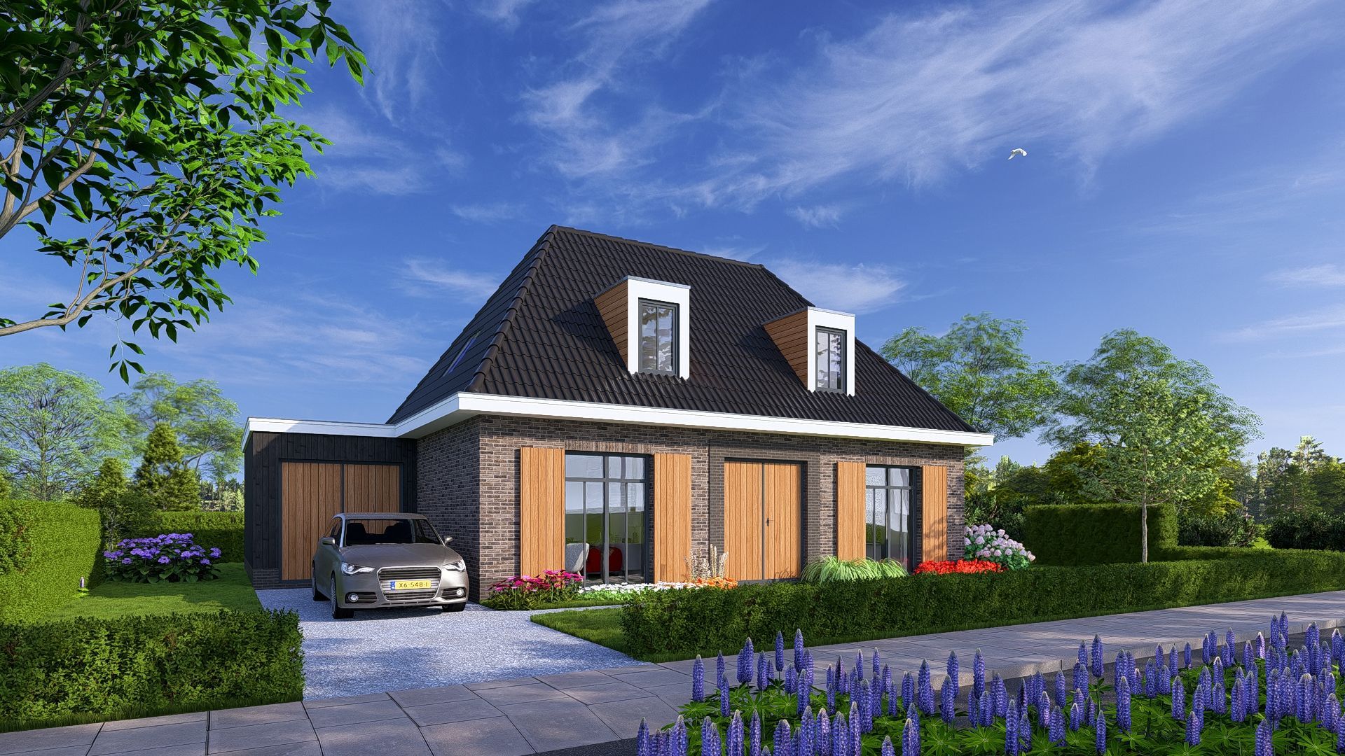 Dotterbloem, Angerlo, 6986DB, Gelderland, Nederland