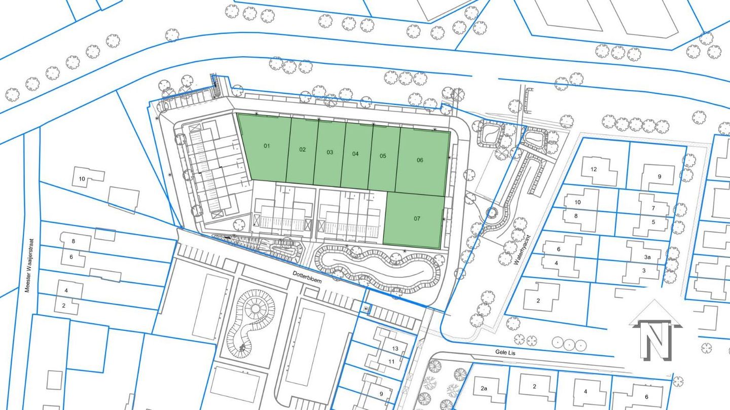 Foto 4 van Dotterbloem