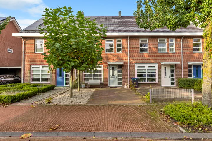 Foto 1 van Galjoen 11 43