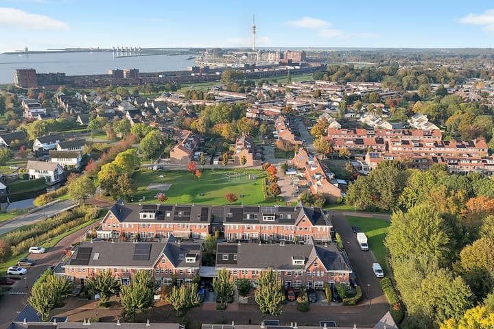 Foto 5 van Galjoen 11 43