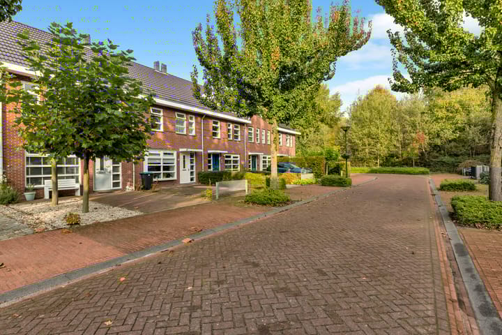 Foto 9 van Galjoen 11 43