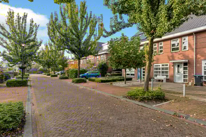 Foto 10 van Galjoen 11 43