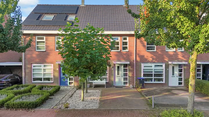 Foto 11 van Galjoen 11 43