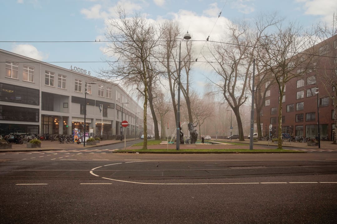 Foto 23 van Bogortuin 65