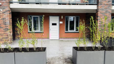 undefined main image