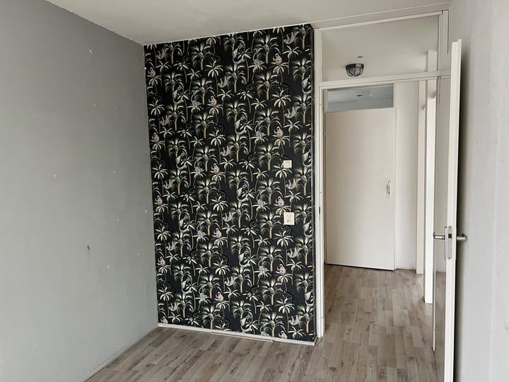 Foto 9 van de Ververt 1167