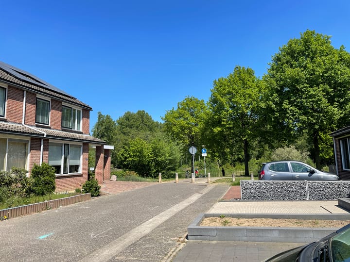 Foto 23 van de Ververt 1167