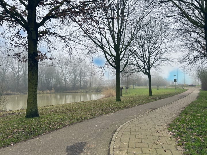 Foto 27 van de Ververt 1167