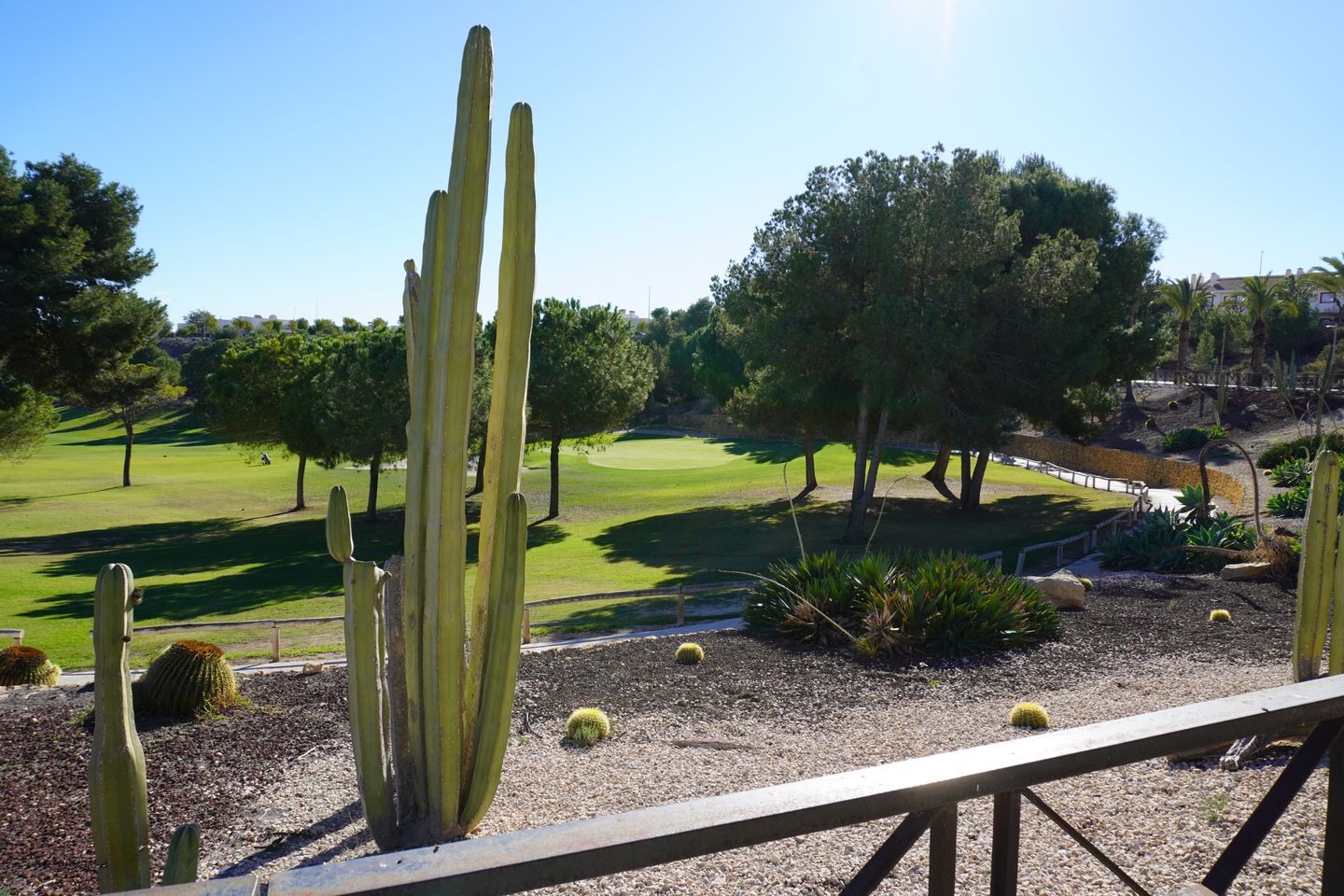 Foto 19 van C. los Pinares