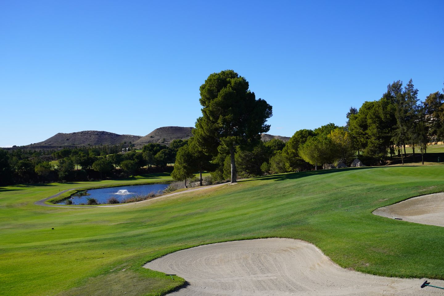 Foto 20 van C. los Pinares