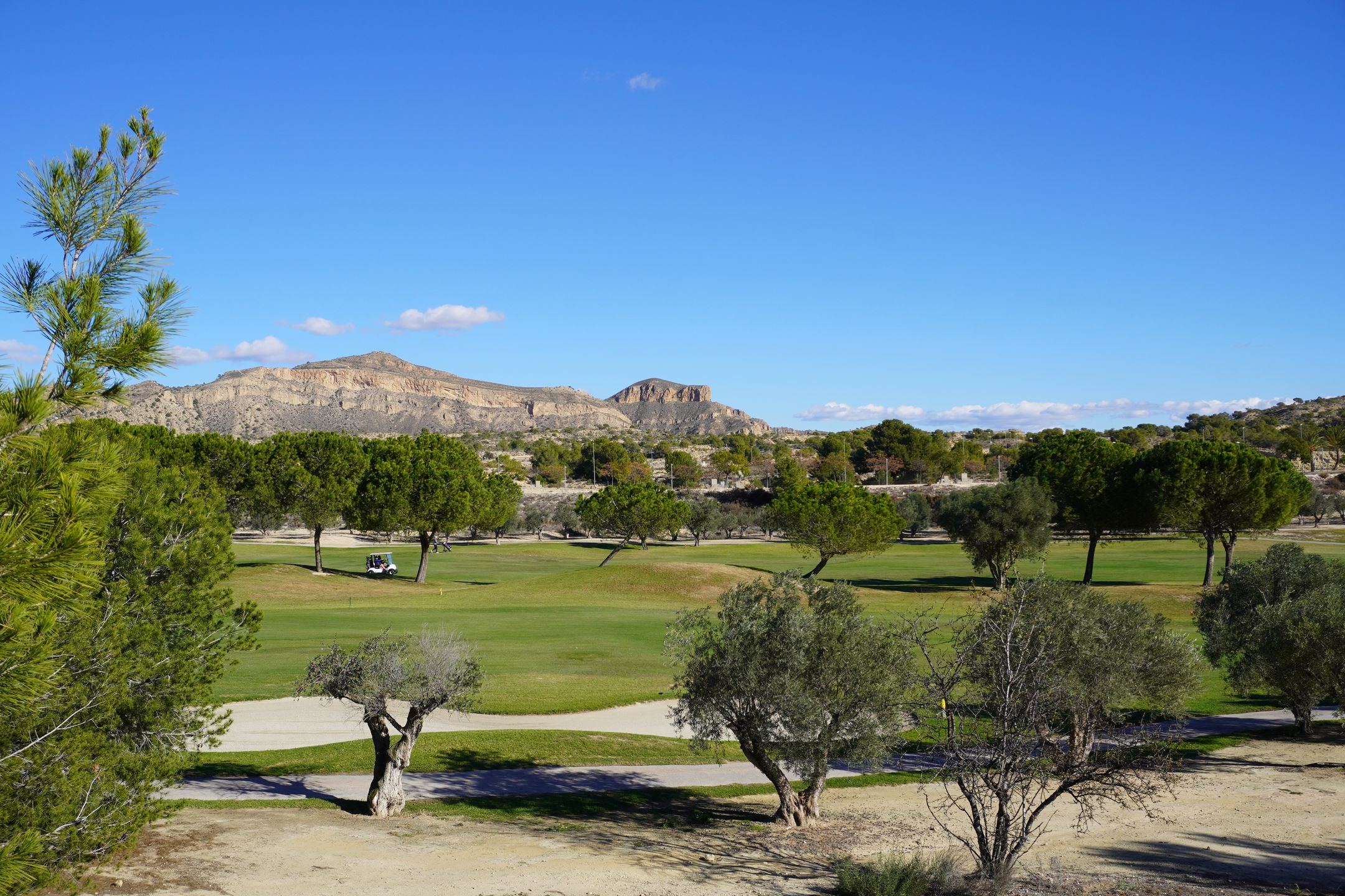 Foto 18 van C. los Pinares