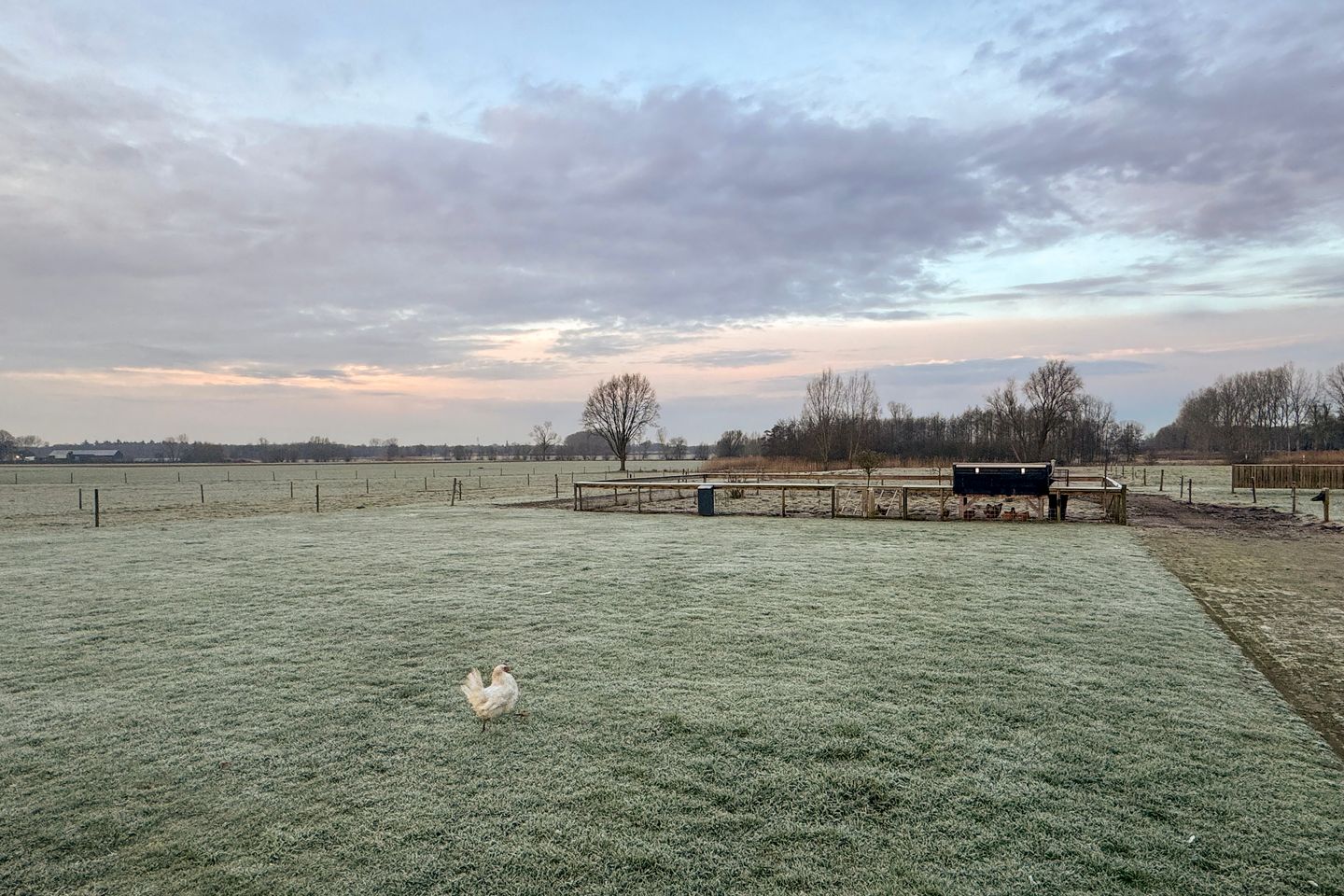 Foto 29 van Vresselseweg 32