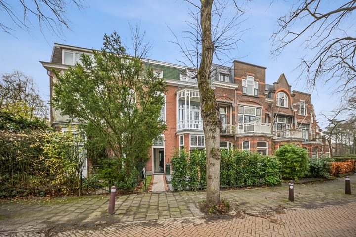 Foto 53 van Leeuwendaallaan 3