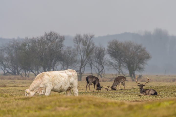 Foto 28 van de Haaijmanweg 2-A0015