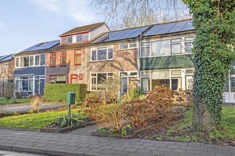 undefined main image