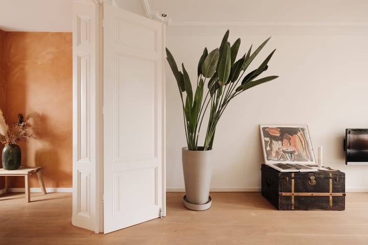 Foto 11 van Sarphatipark 8-2