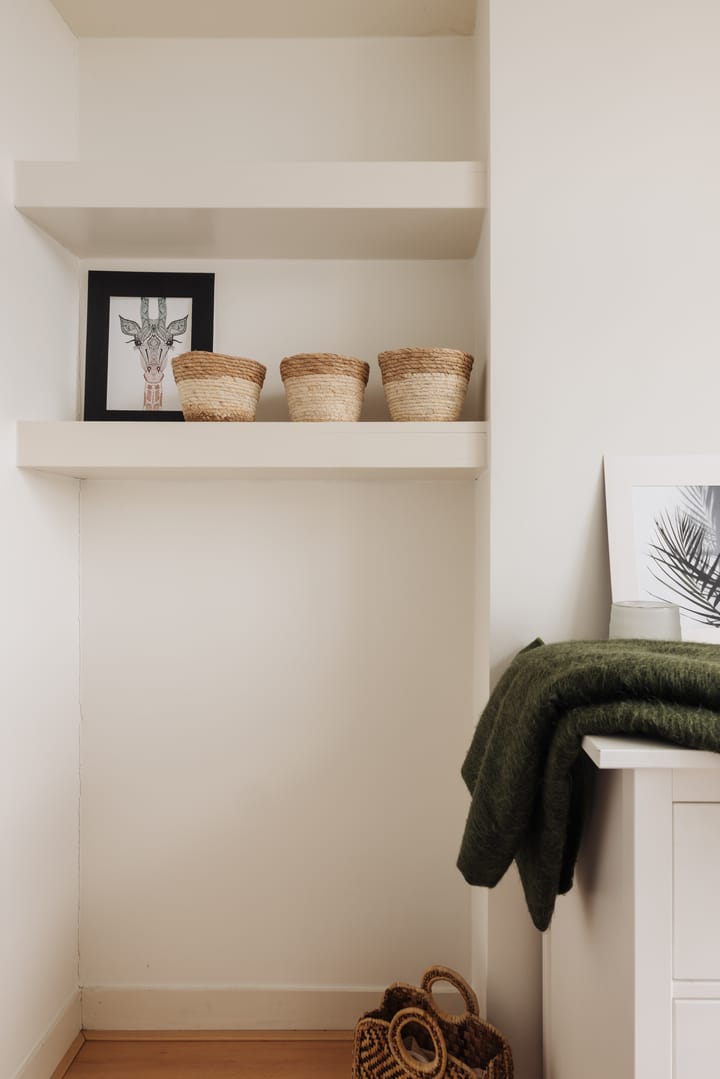 Foto 25 van Sarphatipark 8-2