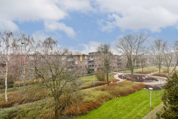 Photo 13 of Bernard Shawsingel 368