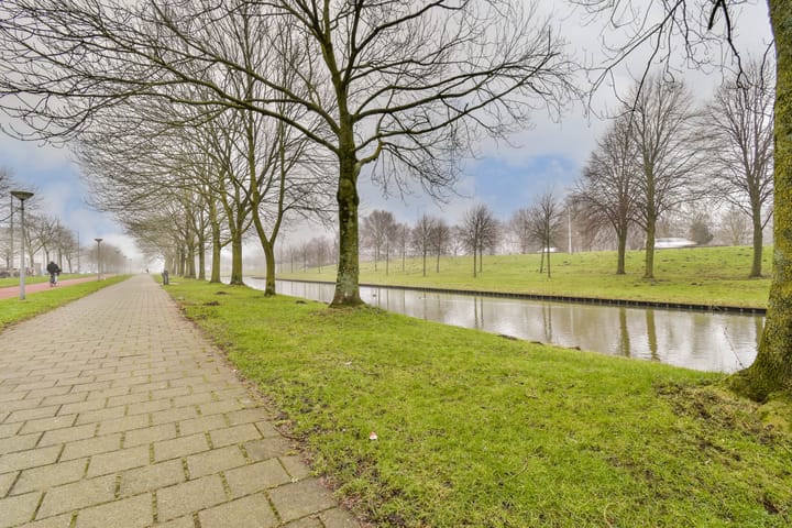 Photo 22 of Bernard Shawsingel 368