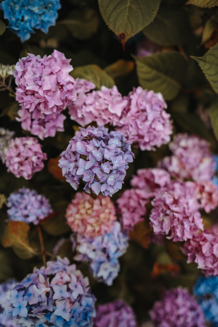 Foto 42 van Den Hoef 14