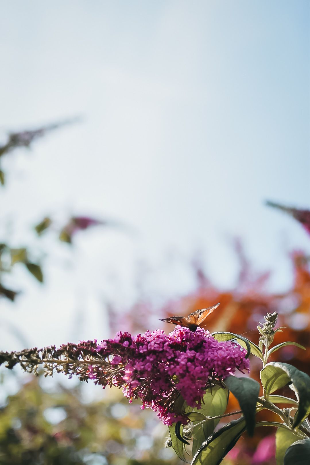 Foto 44 van Den Hoef 14