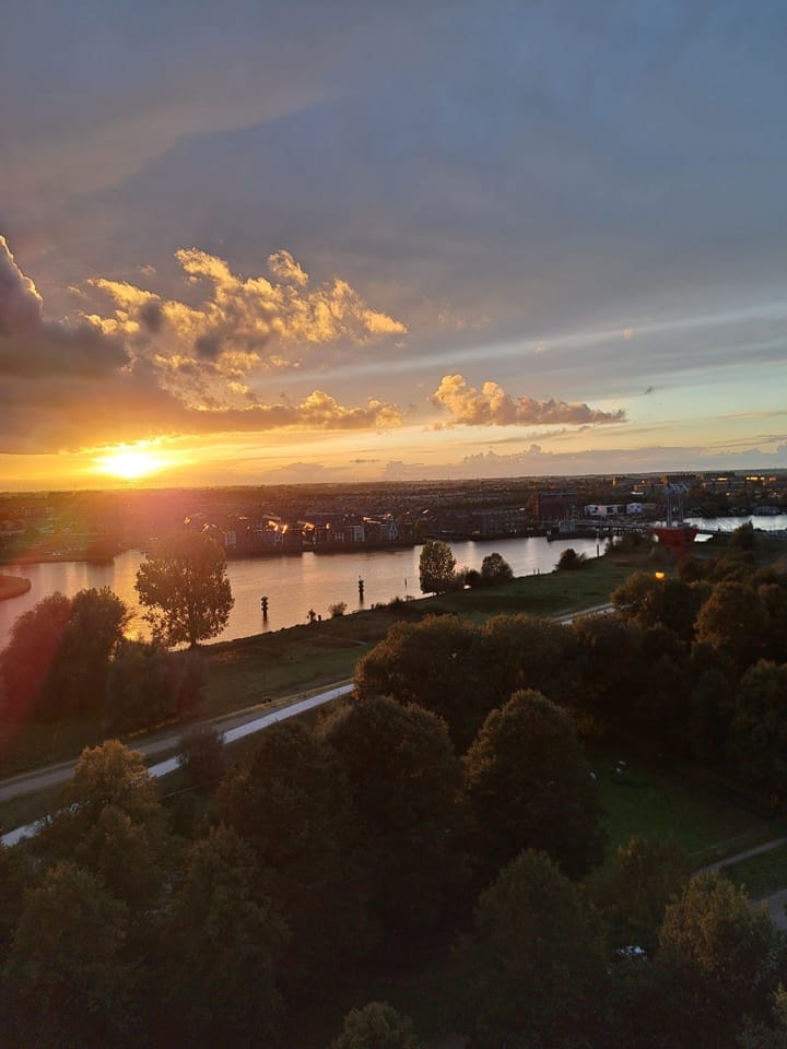 Foto 34 van Händellaan 229