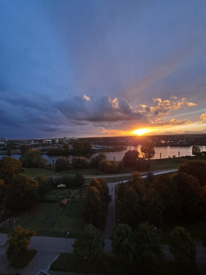 Foto 35 van Händellaan 229