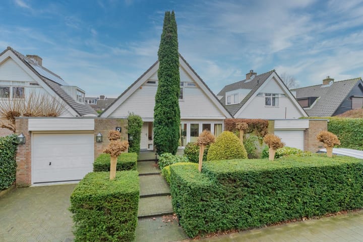 Foto 5 van Witte de Withlaan 24