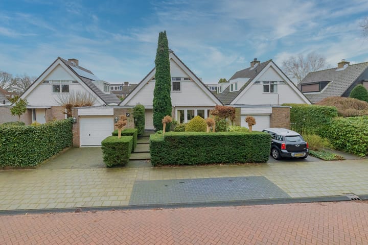 Foto 38 van Witte de Withlaan 24