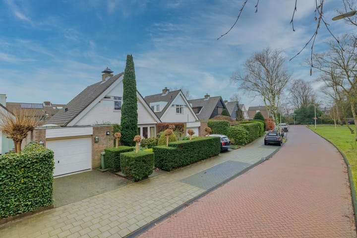 Foto 39 van Witte de Withlaan 24