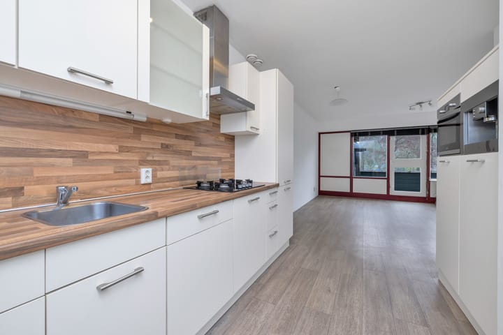 Foto 12 van 't Grachtje over 113