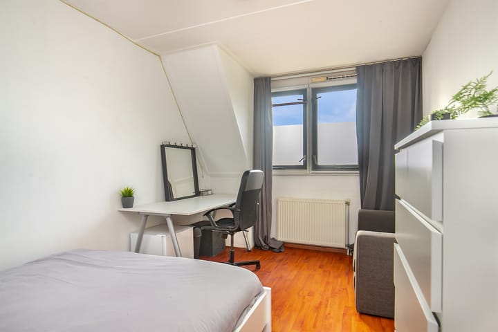 Photo 19 of Gele Rijderspad 50