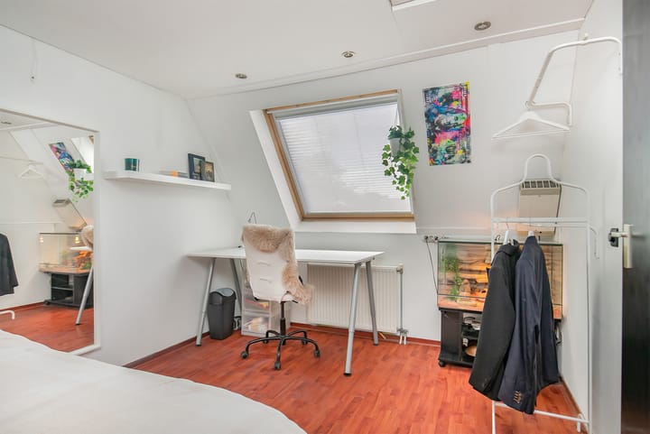 Photo 27 of Gele Rijderspad 50