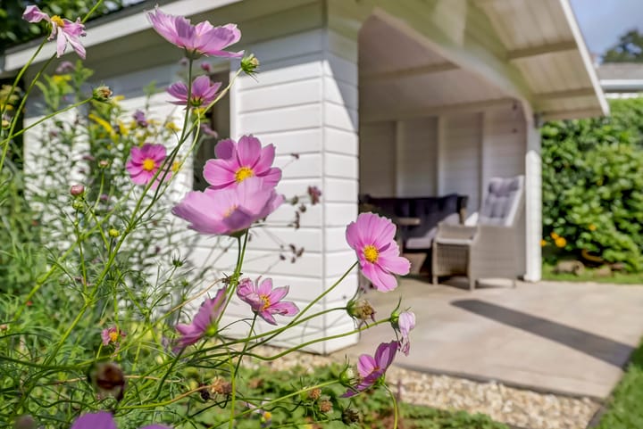 Foto 60 van Wilhelminalaan 186