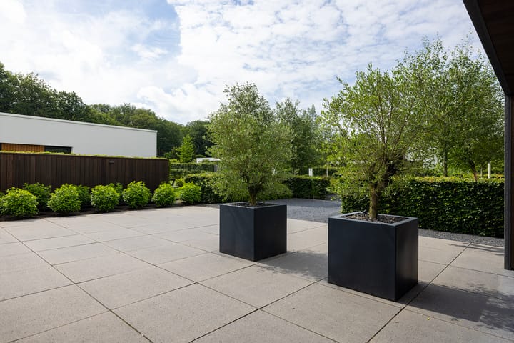 Foto 71 van Kiekeboslaantje 6-A