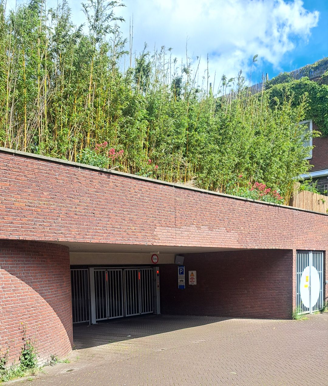 Photo 1 of Paul Schuitemahof 19