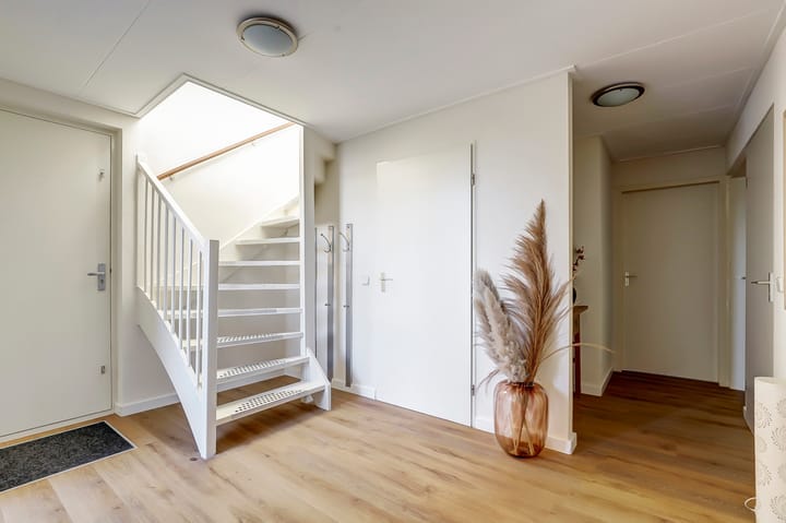 Foto 4 van Ostrea 74