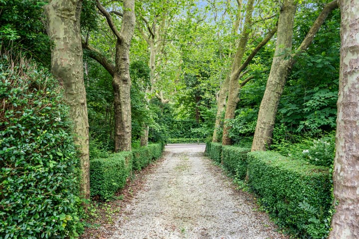 Foto 51 van Philipshoofjesweg 9