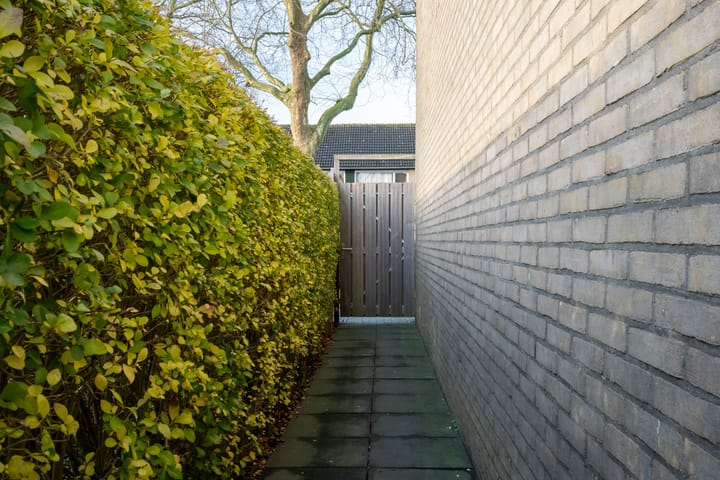 Foto 50 van Hertog Albrechtstraat 12