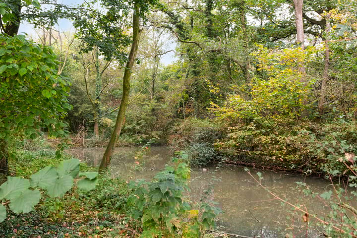 Foto 35 van Boomstede 386