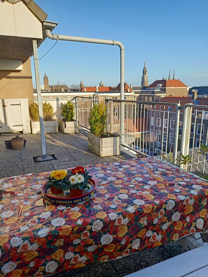 Foto 2 van Westvest 289