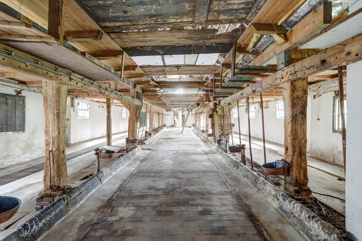 Photo 30 of Zuidzijde 126