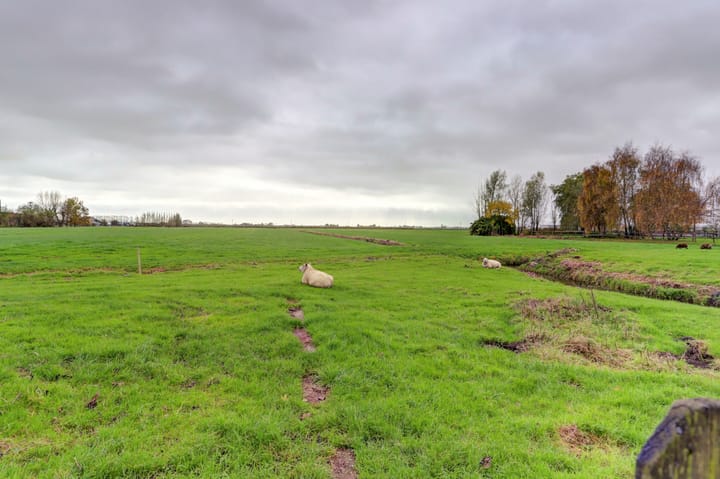 Foto 45 van Zuidzijde 126