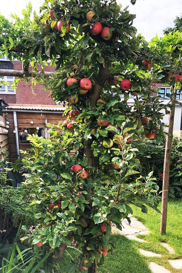 Foto 16 van Zandhofsestraat 91