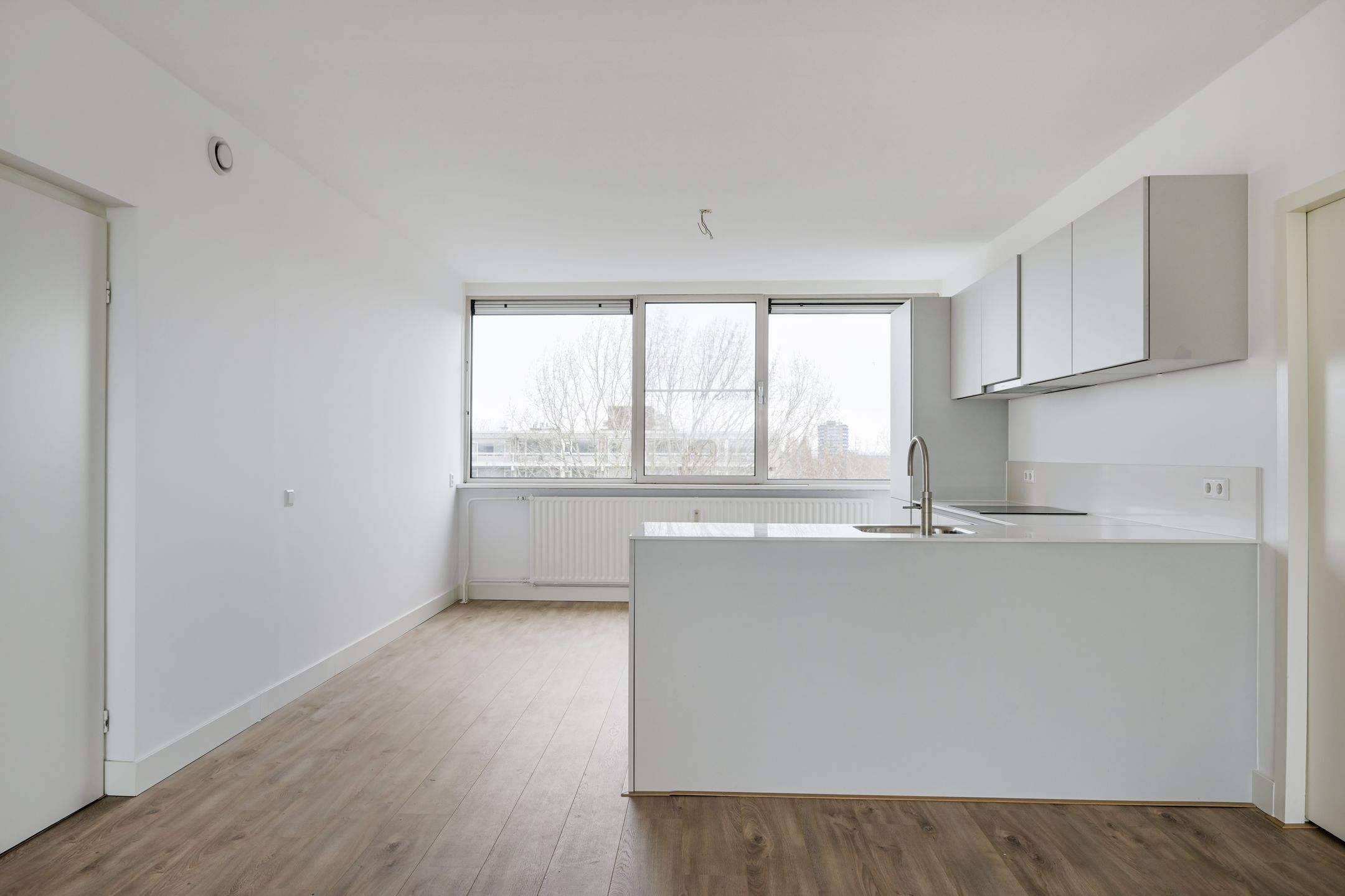 Foto 6 van Laan van Parijs 94