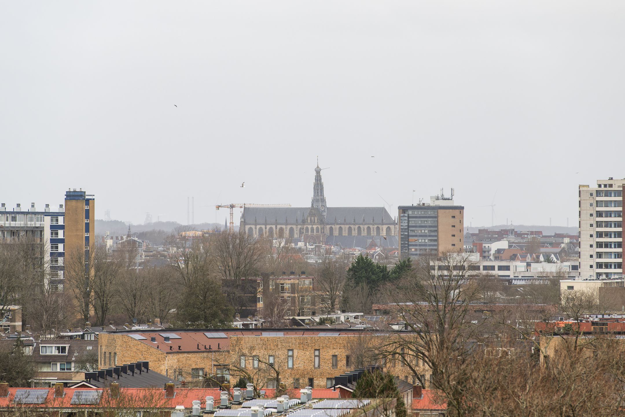 Foto 18 van Laan van Parijs 94