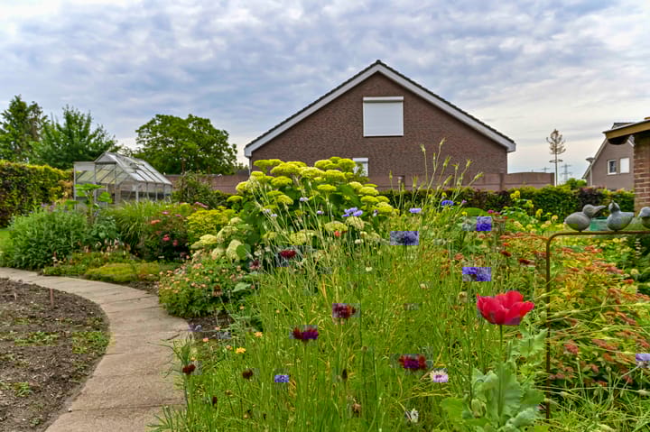 Foto 65 van Abelenstraat 31