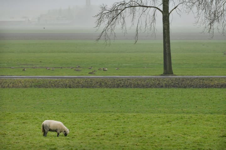 Foto 22 van De Nessermolen 60